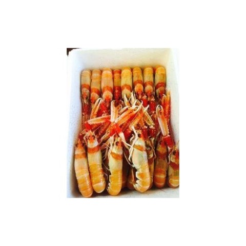 Frozen Norway Lobster 10-15...